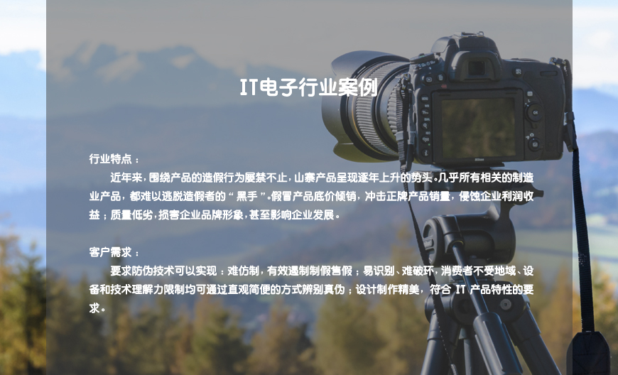 IT电子行业案例